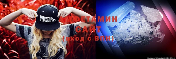шишки Карпинск